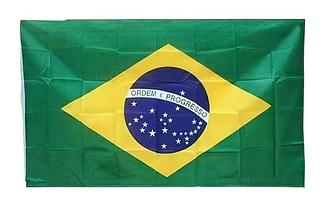 Bandeira do Brasil (dúzia)