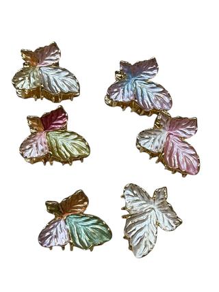 Piranha Borboleta (dúzia)