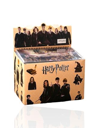 Caderno de Adesivo Harry Potter (24pçs)