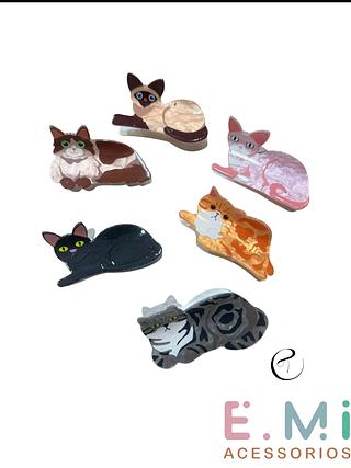 Piranha Gatinho (dúzia)