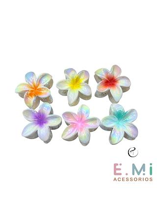 Piranha Acrilica (dúzia)