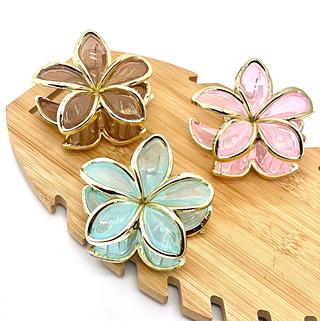 Piranha flor (dúzia)