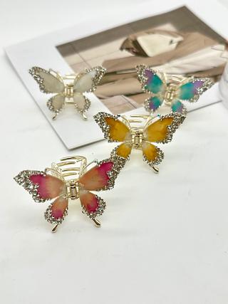 Piranha de borboleta (dúzia)